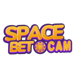 electronic sudoku game large screen
